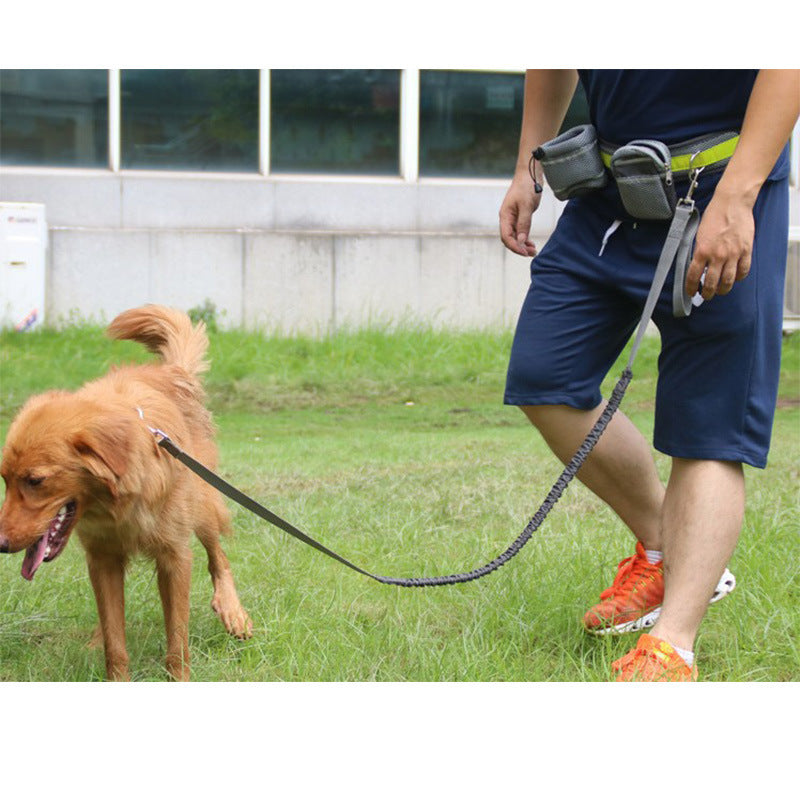 Adjustable Hands-Free pet Leash – Comfortable, Convenient, and Safe for Walks