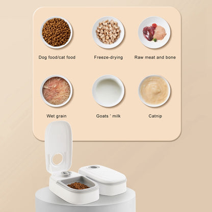 Smart Automatic Pet Feeder – Timed Food Dispenser with Stainless Steel Bowl