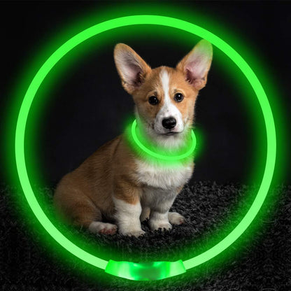 Neon Glow Pet Safety Collar – USB Rechargeable Light-Up Dog Necklace for Night Walks