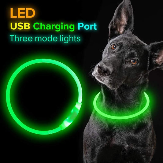 Neon Glow Pet Safety Collar – USB Rechargeable Light-Up Dog Necklace for Night Walks