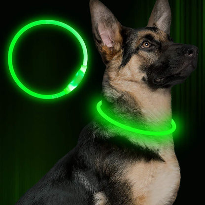 Neon Glow Pet Safety Collar – USB Rechargeable Light-Up Dog Necklace for Night Walks